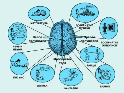 Context și prevestitori de un accident vascular cerebral creierului la femei și bărbați