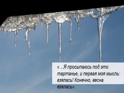 Prezentare - și