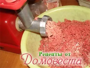 Prepararea carne tocată - rețete din domovesta (scump) Prepararea cărnii tocate - rețete din domovesta