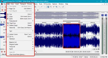 Program pentru conversații de înregistrare pe Skype