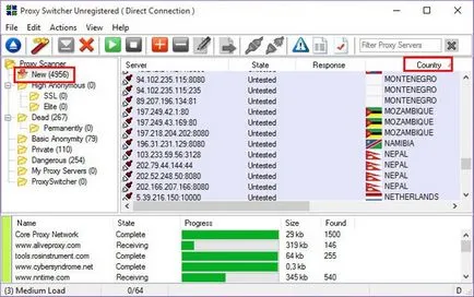 Programul proxy switcher ca pentru a merge on-line cu adresa IP a țării de destinație