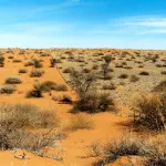Taklamakan desert - vasta mare de dune de nisip (deșert) Taklamakan desert - vasta mare de dune de nisip