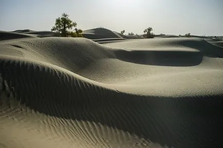 Taklamakan desert - vasta mare de dune de nisip (deșert) Taklamakan desert - vasta mare de dune de nisip