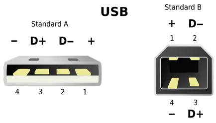 Pinilor USB-conectori de diferite tipuri