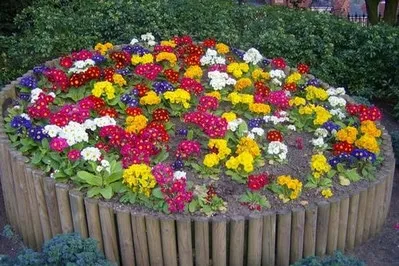 Paturi de design și paturi de flori Paturi de design și paturi de flori
