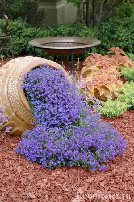 Paturi de design și paturi de flori