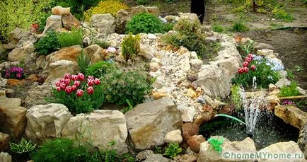 Plante pentru fotografie alpin diapozitiv și numele, exemplele de rockeries