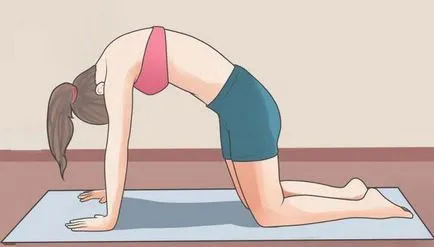 Întinzându-se înapoi la exerciții de bază (întindere) Întinzându-se înapoi la exerciții de bază