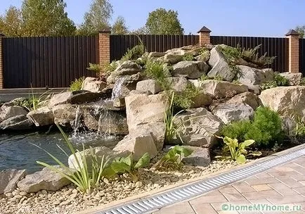 Plante pentru fotografie alpin diapozitiv și numele, exemplele de rockeries