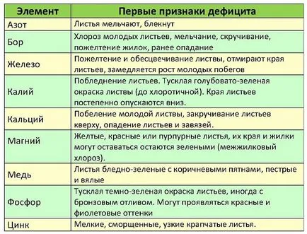 Diferite întrebări cu privire la cultivarea columnare de mere, fertilizarea, boala, cum să planteze (în creștere meri columnare) Diferite întrebări cu privire la cultivarea columnare de mere, fertilizarea, boala, cum să planteze