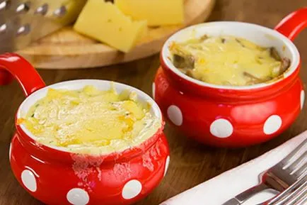 Rețete cu ciuperci ciuperci julienne și pui place să gătească zhuleny în cuptor și în tigaie