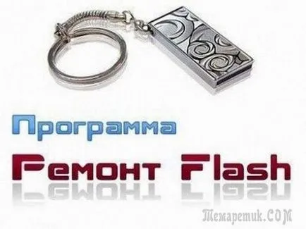 Repararea lipi mâinile lor pentru a restaura programul (unitate de terapie intensivă) USB flash-