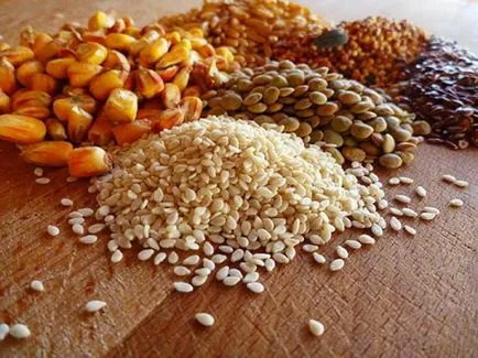 Recomandări cum să gătească must de găini ouătoare și pui (găini ouătoare) Recomandări cum să gătească must de găini ouătoare și pui