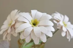 Daisies de sticle de lapte din plastic cu propriile lor mâini (video)