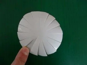 Daisies din sticle de plastic
