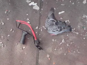Praștie pentru a vâna, modul de a alege și de a face mâinile lor proprii, foto și video