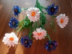 Daisies din sticle de plastic