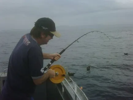 Pescuitul la Marea Neagră de la mal - echipamente video, momeală, pescuit de iarna