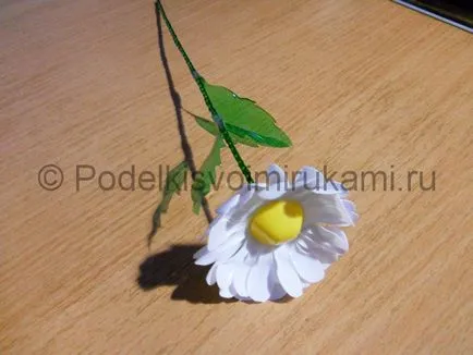 Daisy de sticle din plastic instrucțiuni pas cu pas și o clasă de master cu fotografii și video