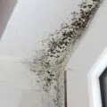 Rulouri cu mâinile lor ghid pas cu pas