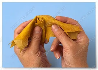 Trandafiri din frunze de arțar, artiști țară