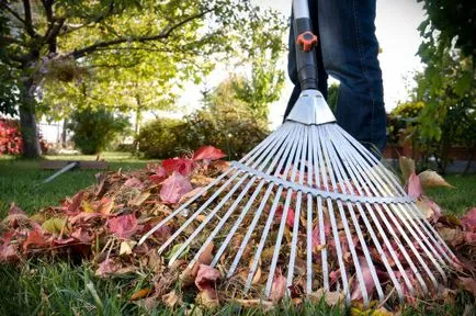 Garden implementează special de selecție și de depozitare