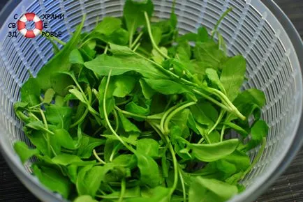 Rucola - proprietăți utile și rețete dietetice cu verdeață (rucola proprietăți utile fotografie rețete de cultivare decât beneficii utile și a efectelor nocive) Rucola - proprietăți utile și rețete dietetice cu verdeață