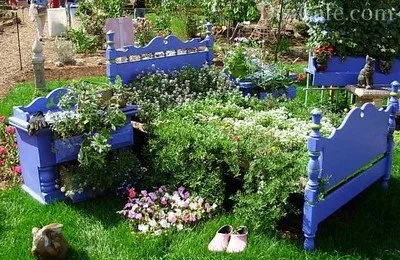 Cele mai frumoase paturi de flori din țară, cu propriile lor mâini colecției de fotografii