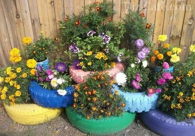 Cele mai frumoase paturi de flori din țară, cu propriile lor mâini colecției de fotografii