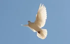 Shanti Mantra prezentul text
