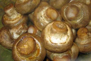Ciuperci la cuptor ca un site gustos și corect coapte, ciuperci (delicioase) Ciuperci în cuptor și se coace ca delicioase site-ul de ciuperci dreapta