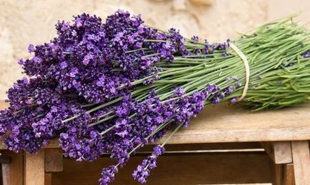 Secretele lavanda nunta decorare (10 poze)