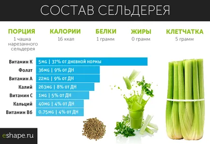 Telina - proprietăți și contraindicații utile (țelină) Telina - proprietăți utile și contraindicații
