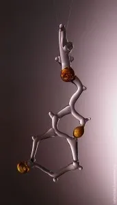 Pineala Structura glandei, funcția