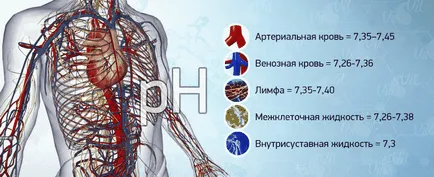 apa alcalina (h₂o -) - prepararea și utilizarea ㊌ (alcalizare apă din corp) apa alcalina (h₂o -) - utilizarea și prepararea ㊌