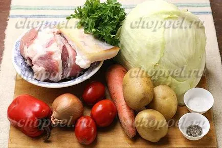 Supa de varza cu varză proaspătă cu un pas cu pas fotografii de rețete (fotografii) Supa de varza cu varză proaspătă cu un pas cu pas reteta fotografii