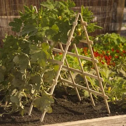 Leasă pentru plante agățătoare cu mâinile proprii, materiale și consiliere (creț) Leasă pentru plante agățătoare cu mâinile proprii, materiale și sfaturi