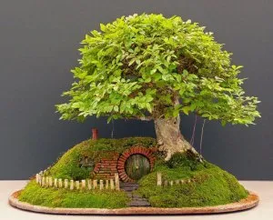 Bonsai pentru ce