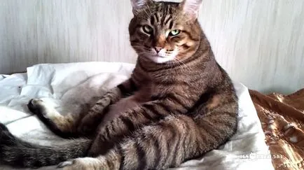 Danseaza cu mama mea la nunta
