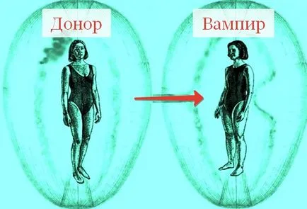 vampir Energie-l
