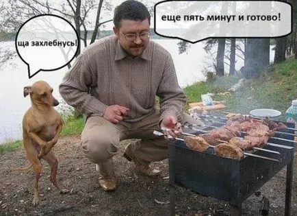 Imaginea amuzant despre barbati (36 poze) - poze haioase si umor (foto) Imaginea amuzant despre barbati (36 poze) - poze haioase si umor