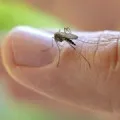 Vis buze Interpretare pictat, ce buzele vis într-un vis (interpretare de vis) Vis buze Interpretare pictat, ce vis buzele într-un vis
