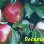 Conținutul de capre în agricultura de subzistență de uz casnic