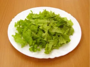 Caesar reteta sos cu fotografii clasic, simplu, cu carne de pui