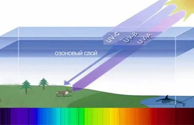 Radiația solară și influența sa asupra corpului uman (solar) Radiația solară și efectele sale asupra organismului uman
