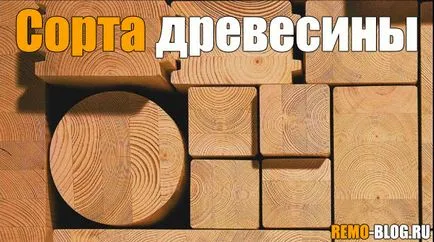 Tipuri de lemn - care sunt în conformitate cu GOST, construirea de blog (oaspete) Tipuri de lemn - care sunt în conformitate cu GOST, construirea blog