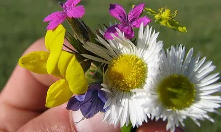 Vis buchet Interpretare, ceea ce un vis într-un vis pentru a vedea buchet