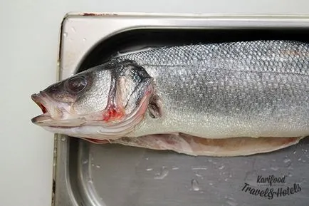 Sare carapacea