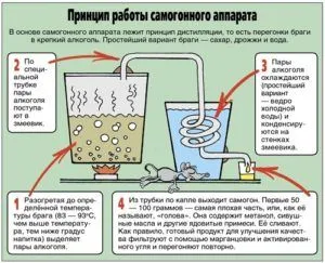 Alcoolice mini plante - acasă, apă de ploaie (acasă) Alcoolice mini plante - acasă, apă de ploaie