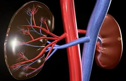 Un stent în avantajele renale ale acestei metode de tratament